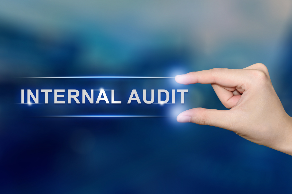 Navigating Permacrisis: The Crucial Role of Internal Audit in 2024